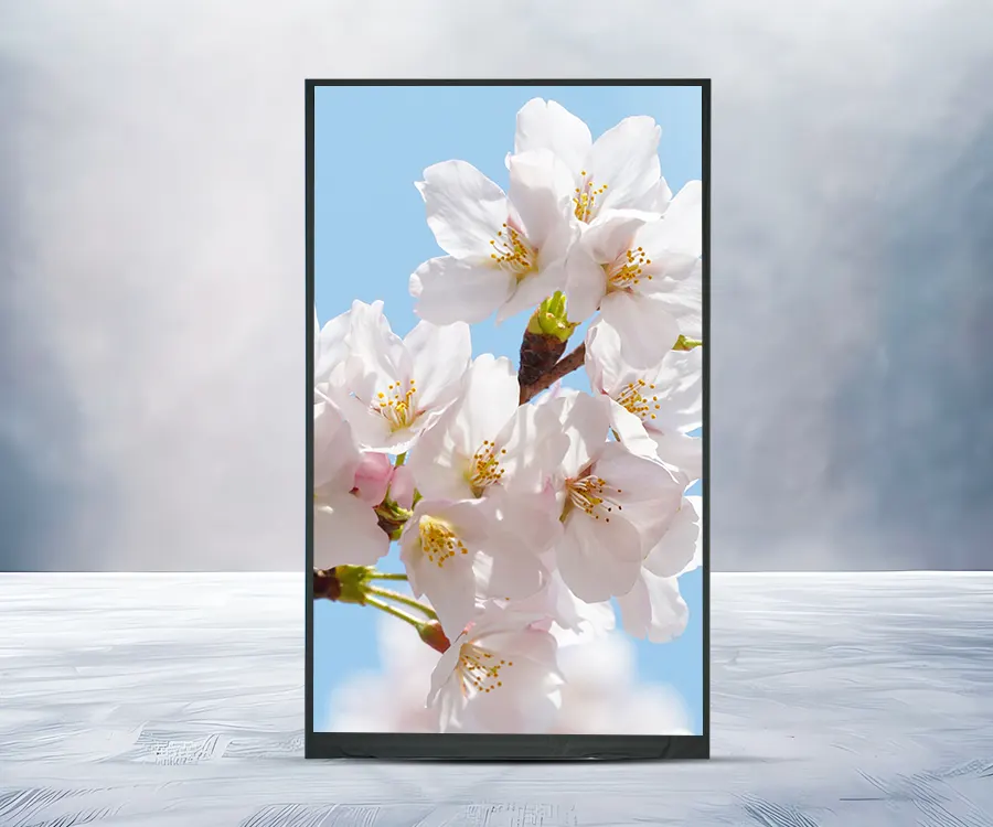 Màn hình LCD HD TFT