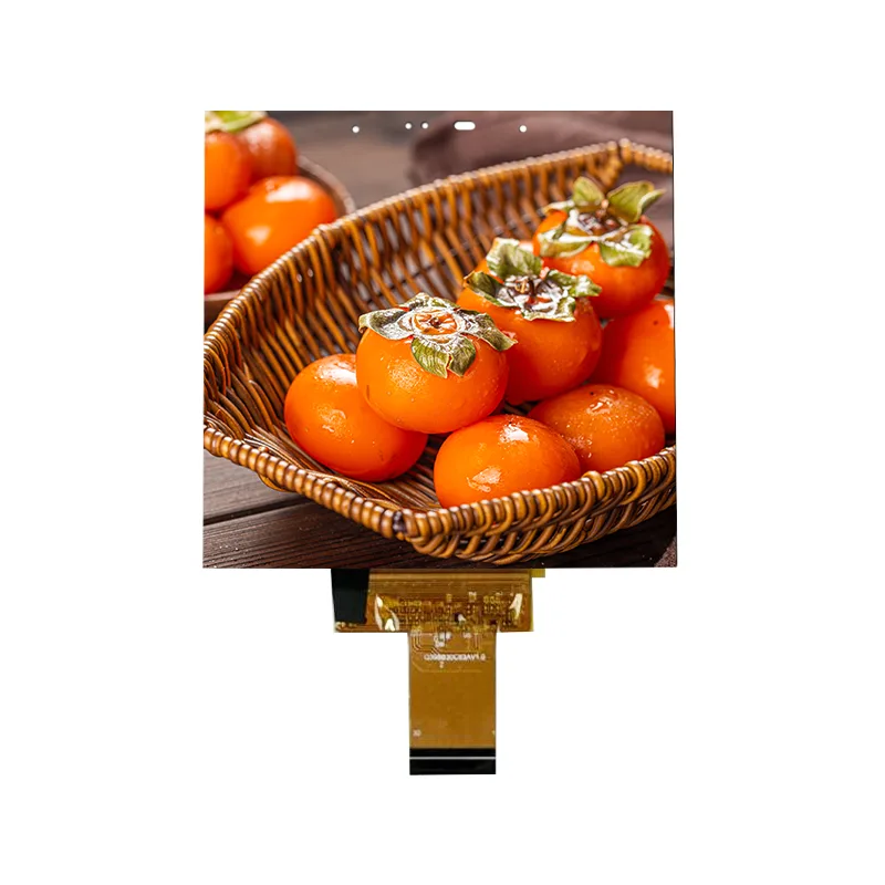 Mô-đun màn hình cảm ứng IPS In-cell kích thước nhỏ 3,95 inch cho ngôi nhà thông minh Mô-đun màn hình cảm ứng IPS In-cell kích thước nhỏ 3,95 inch cho ngôi nhà thông minh